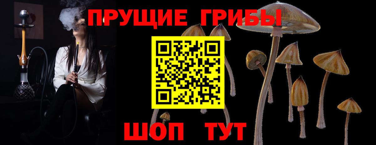 Псилоцибиновые грибы MAGIC MUSHROOMS  Вход с VPN  наркошоп  Галлюциногенные грибы GOLDEN TEACHER  Железногорск 